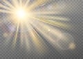 Shining sunlight blurred vector effect Royalty Free Stock Photo