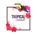 Shining tropical summer typographical background