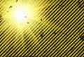 Shining warning black and yellow diagonal lines in grunge style
