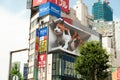 Giant cat in stunning ultra-realistic 4K digital screen display