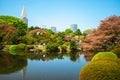 Shinjuku Gyoen with cherry blossom in tokyo, japan