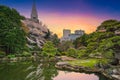 Shinjuku Gyoen National Garden during cherry blossom bloom in Tokyo