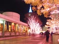 Christmas Illumination in Tokyo, Shinjuku