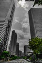 Shinjuku skyscrapers (monochrome)