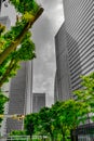 Shinjuku skyscrapers (monochrome)