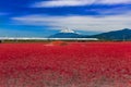 Shinkansen bullet train passing by Mount Fuji, Yoshiwara, Shizuoka prefecture, Japan Royalty Free Stock Photo