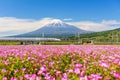 Shinkansen and car run through Mt. Fuji