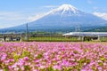 Shinkansen thundering to Mountain Fuji