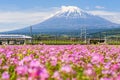 Shinkansen train at mount Fuji, Shizuoka Royalty Free Stock Photo