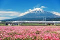 Shinkansen train thundering to Mountain Fuji
