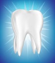 Shinny tooth on blue background Royalty Free Stock Photo