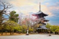 Shinnyodo or Shinshogokurakuji temple in Kyoto, Japan