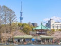 Tokyo Skytree and cherry blossoms of Shinobazu pond in Ueno. Royalty Free Stock Photo