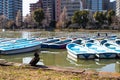 Shinobazuno Pond in Ueno park with swan pedal boats and boats rental, very famous pond in Ueno park, Tokyo, Japan Royalty Free Stock Photo