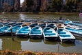 Shinobazuno Pond in Ueno park with swan pedal boats and boats rental, very famous pond in Ueno park, Tokyo, Japan Royalty Free Stock Photo