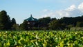 Shinobazunoike Bentendo Temple, Ueno Park, Tokyo, Japan. Royalty Free Stock Photo