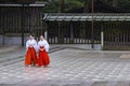 Two Mikos in Tokyo`s Meiji Shrine, Japan