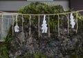 Shinto shrine with Shimenawa around a mossy rock