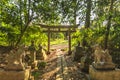 Shinto shrine Torii stone gate and fox statues in forest