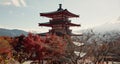 Shinto temple, building and trees in nature for religion, faith and landscape with mountains by sky background Royalty Free Stock Photo