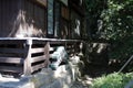shinto temple (hie shrine) in a religious complex in yamadera - japan Royalty Free Stock Photo