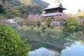 shinto temple (kikko shrine) in iwakuni (japan) Royalty Free Stock Photo