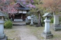 shinto temple (kikko shrine) in iwakuni (japan) Royalty Free Stock Photo