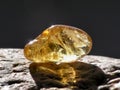 Shiny amber Royalty Free Stock Photo