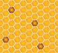 Shiny amber honey comb and bees seamless pattern design. Vector