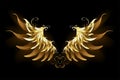 Shiny angel wings Golden wings Royalty Free Stock Photo