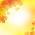 Shiny Autumn Leaves Banner Background. Vector Illustration