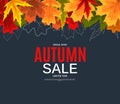 Shiny Autumn Leaves Sale Banner. Business Discount Card. Vector Illustration