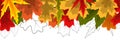 Shiny Autumn Leaves Seamless Border Background. Vector Illustration