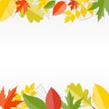 Shiny Autumn Natural Leaves Background. Vector