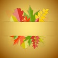 Shiny Autumn Natural Leaves Background. Vector