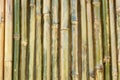 Shiny bamboo wall