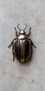A shiny beetle on a textured surface. Royalty Free Stock Photo
