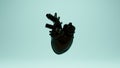 Shiny Black Artificial Heart Futuristic Cyber Bionic Anatomy Anatomical Robotic