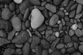Black stone, Shiny black lava pebbles on the beach, Black lava pebble stone Royalty Free Stock Photo