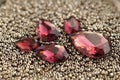 Shiny burgundy crystal rhinestones and metallic seed beads close