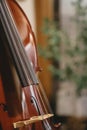 Shiny Cello Up Close, Vertical Image of Orchestra Instrument