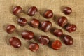 Shiny chestnuts on jute textile, photo from above