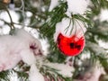 On the shiny Christmas ball lies the fallen white snow.