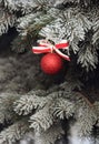 Shiny Christmas ball with a ribbon on a snow-covered tree. Royalty Free Stock Photo