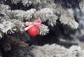 Shiny Christmas ball with a ribbon on a snow-covered tree Royalty Free Stock Photo