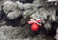 Shiny Christmas ball with a ribbon on a snow-covered tree. Royalty Free Stock Photo