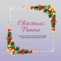 Shiny christmas frame square border poinsettia decoration