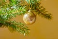 Shiny christmas golden ball on a green spruce branch on a yellow background Royalty Free Stock Photo