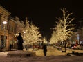 Shiny Christmas lights illuminate the trees