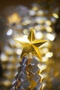 Shiny christmas Star on top of a tree Royalty Free Stock Photo